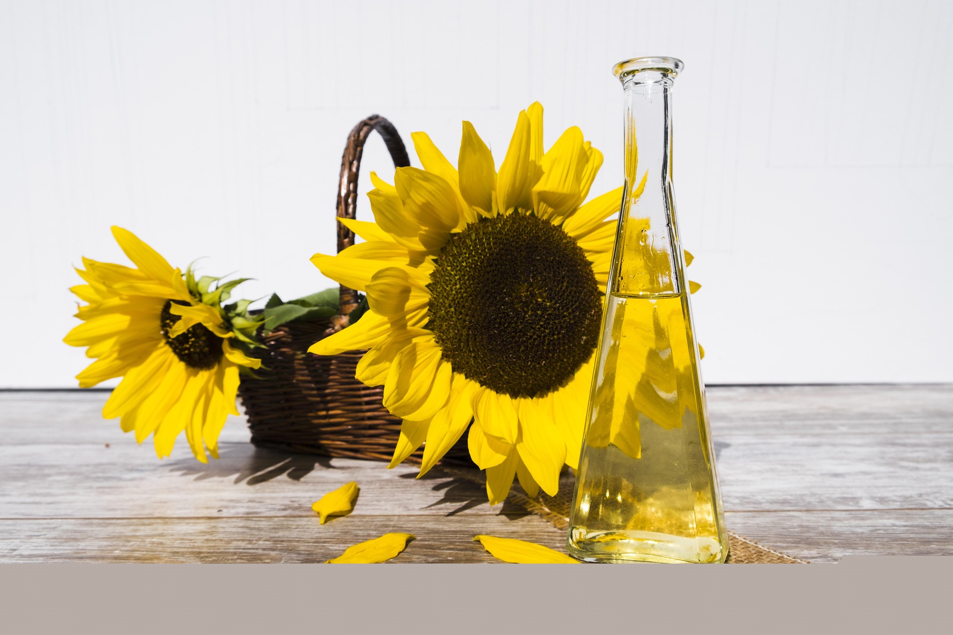 photo page banner